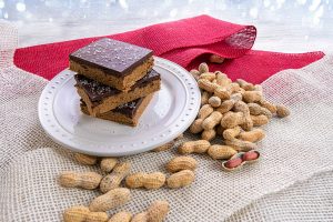 Florida Peanut Butter Chocolate Bars (No-Bake)