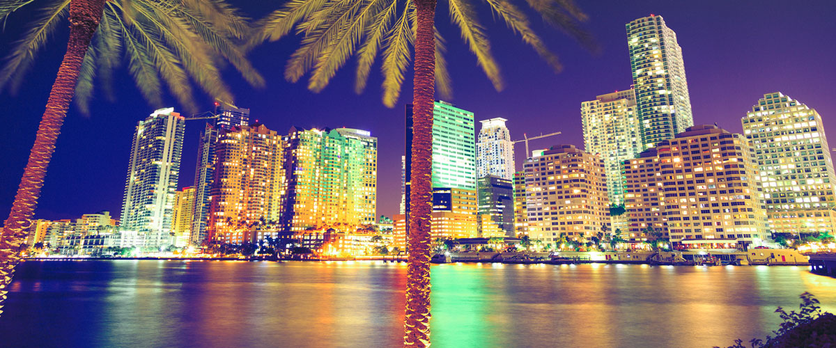 Downtown Miami By Night Frla