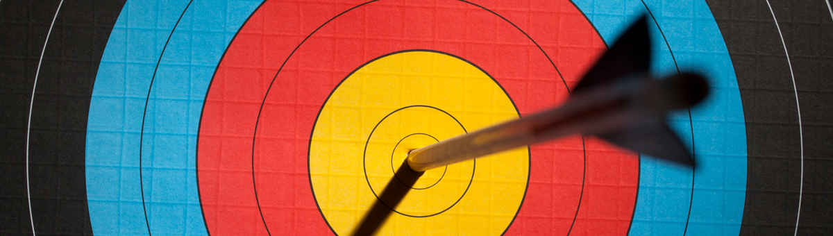Arrow In The Bullseye Of An Archery Target Frla